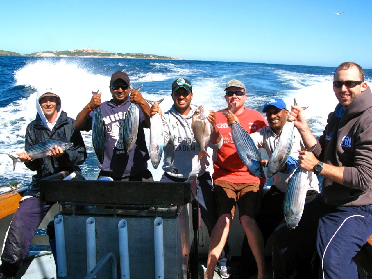 Montague Island Reef Fish